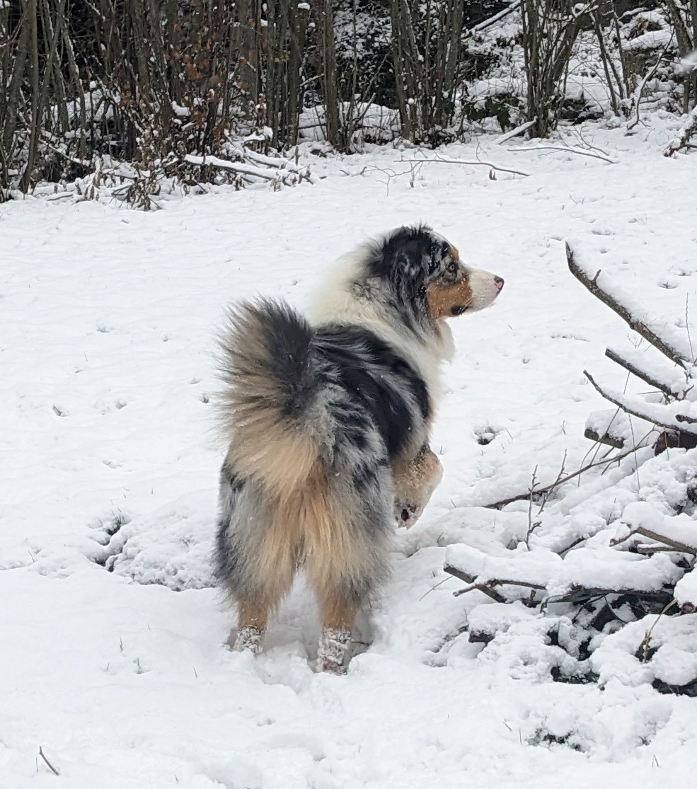 Vasko Des Joyaux De Luna